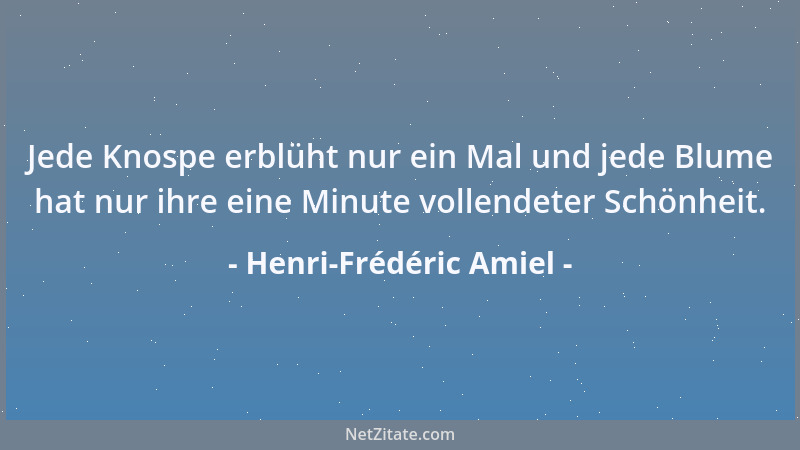 Henri-Frédéric Amiel - Jede Knospe erblüht nur ein Mal und jede Blume hat nur ihre eine Minute vollendeter Schönheit....