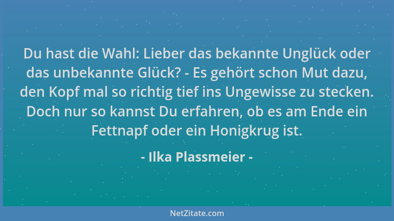 Ilka Plassmeier - Du hast die Wahl: Lieber das bekannte Unglück oder das unbekannte Glück? - Es gehört schon Mut dazu, den...
