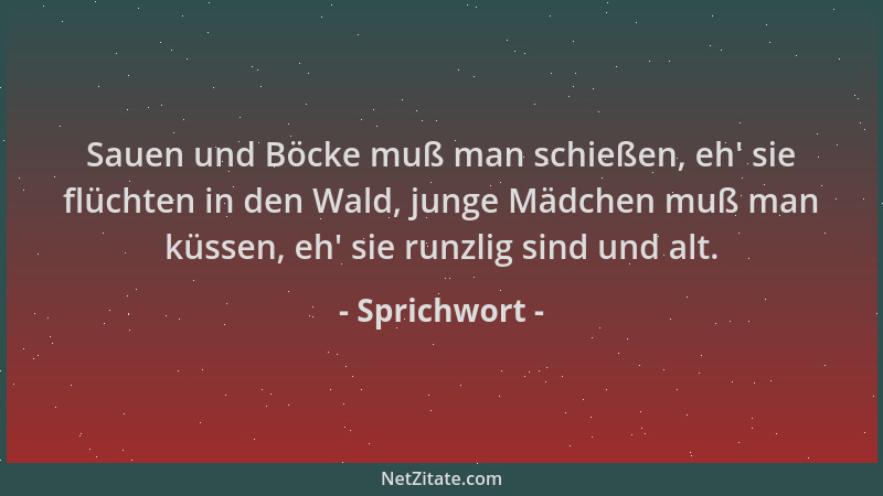 Sprichwort - Sauen und Böcke muß man schießen, eh ' sie flüchten in den Wald, junge Mädchen muß man küssen, eh ' sie runzlig...
