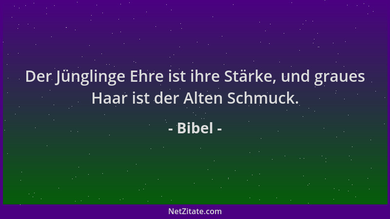 Bibel - Der Jünglinge Ehre ist ihre Stärke, und graues Haar ist der Alten Schmuck....