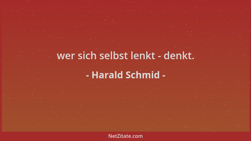 Harald Schmid - wer sich selbst lenkt - denkt....