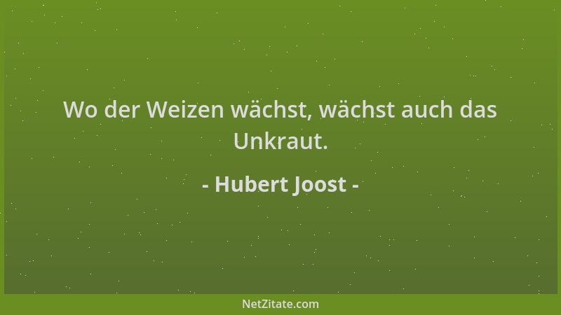 Hubert Joost - Wo der Weizen wächst, wächst auch das Unkraut....