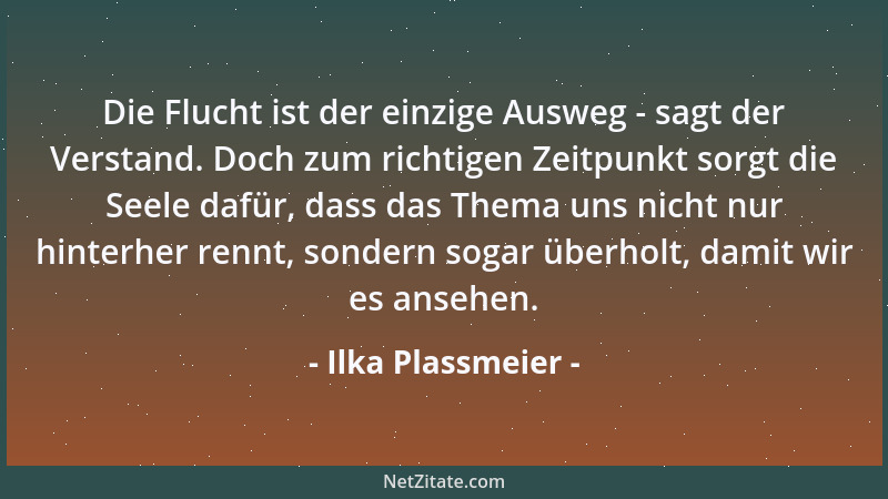Ilka Plassmeier - Die Flucht ist der einzige Ausweg - sagt der Verstand. Doch zum richtigen Zeitpunkt sorgt die Seele dafür...