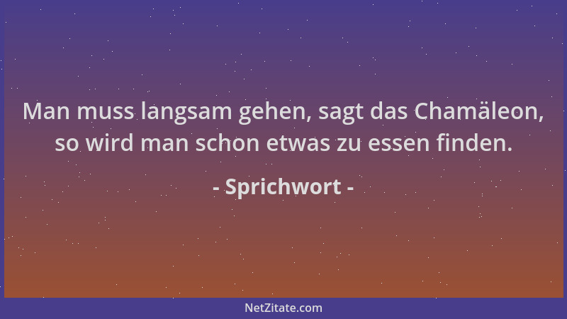 Sprichwort - Man muss langsam gehen, sagt das Chamäleon, so wird man schon etwas zu essen finden....