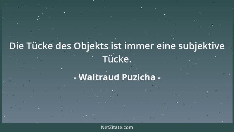 Waltraud Puzicha - Die Tücke des Objekts ist immer eine subjektive Tücke....