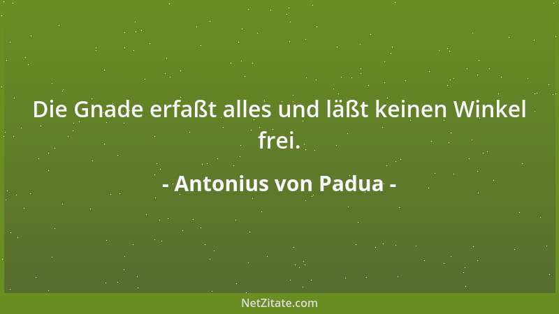 Antonius von Padua - Die Gnade erfaßt alles und läßt keinen Winkel frei....