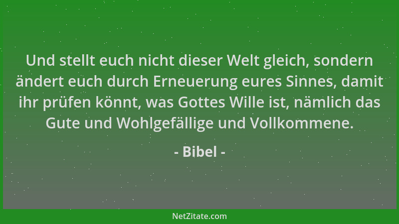 Bibel - Und stellt euch nicht dieser Welt gleich, sondern ändert euch durch Erneuerung eures Sinnes, damit ihr prüfen könnt...