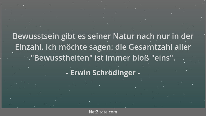 Erwin Schrödinger - Bewusstsein gibt es seiner Natur nach nur in der Einzahl. Ich möchte sagen: die Gesamtzahl aller  "Bewus...