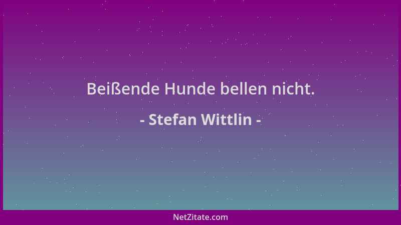 Stefan Wittlin - Beißende Hunde bellen nicht....