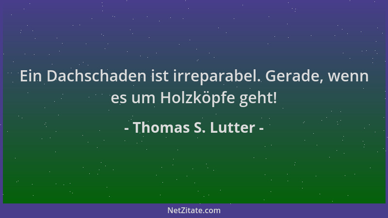 Thomas S. Lutter - Ein Dachschaden ist irreparabel. Gerade, wenn es um Holzköpfe geht!...