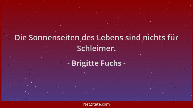 Brigitte Fuchs - Die Sonnenseiten des Lebens sind nichts für Schleimer....