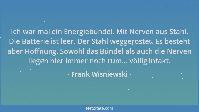 Frank Wisniewski - Ich war mal ein Energiebündel. Mit Nerven aus Stahl. Die Batterie ist leer. Der Stahl weggerostet. Es be...