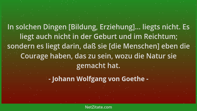 Johann Wolfgang von Goethe - In solchen Dingen [Bildung, Erziehung]... liegts nicht. Es liegt auch nicht in der Geburt und...