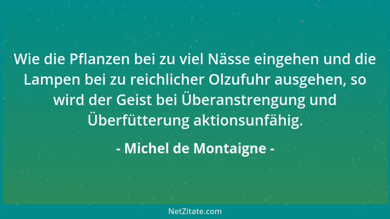 Michel de Montaigne - Aus was besteht der subtilste Wahnsinn als aus der subtilsten Weisheit?...