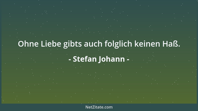Stefan Johann - Jegliche Formulierung eines Gedanken ist eine unumgängliche Pauschalisierung des selbigen....