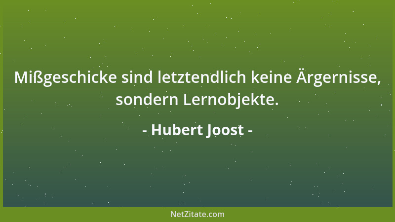 Hubert Joost - Mißgeschicke sind letztendlich keine Ärgernisse, sondern Lernobjekte....