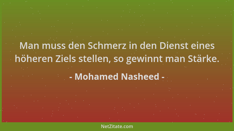 Mohamed Nasheed - Man muss den Schmerz in den Dienst eines höheren Ziels stellen, so gewinnt man Stärke....