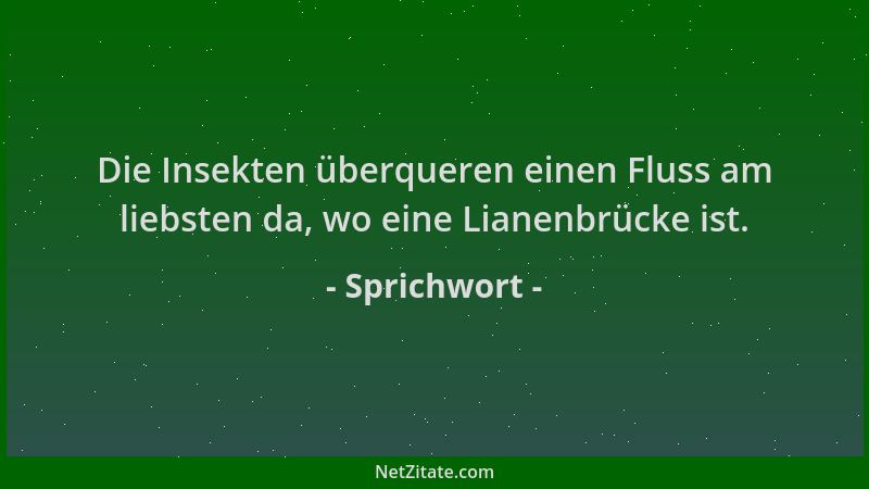 Sprichwort - Die Insekten überqueren einen Fluss am liebsten da, wo eine Lianenbrücke ist....