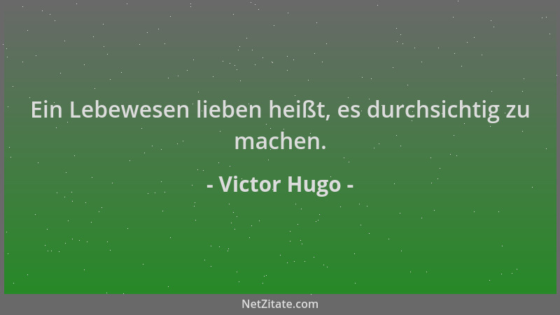 Victor Hugo - Ein Lebewesen lieben heißt, es durchsichtig zu machen....