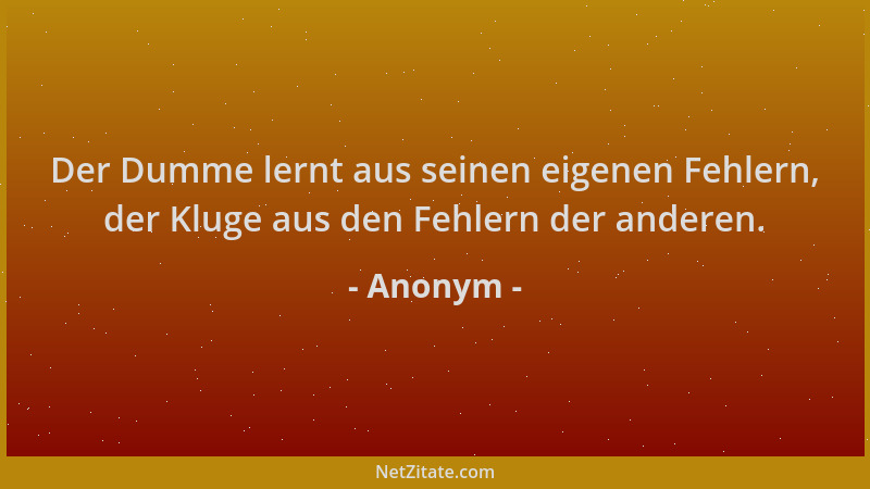 Anonym - Der Dumme lernt aus seinen eigenen Fehlern, der Kluge aus den Fehlern der anderen....