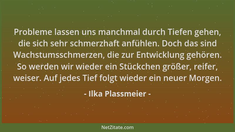 Ilka Plassmeier - Probleme lassen uns manchmal durch Tiefen gehen, die sich sehr schmerzhaft anfühlen. Doch das sind Wachst...