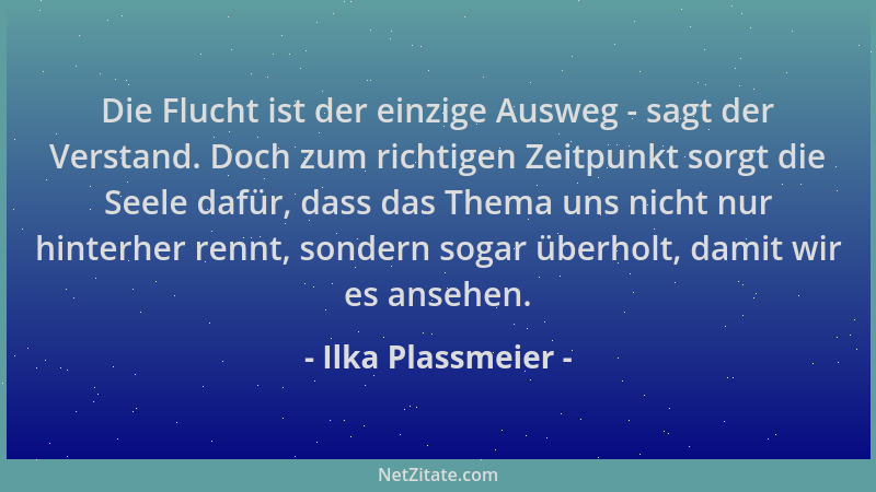 Ilka Plassmeier - Die Flucht ist der einzige Ausweg - sagt der Verstand. Doch zum richtigen Zeitpunkt sorgt die Seele dafür...