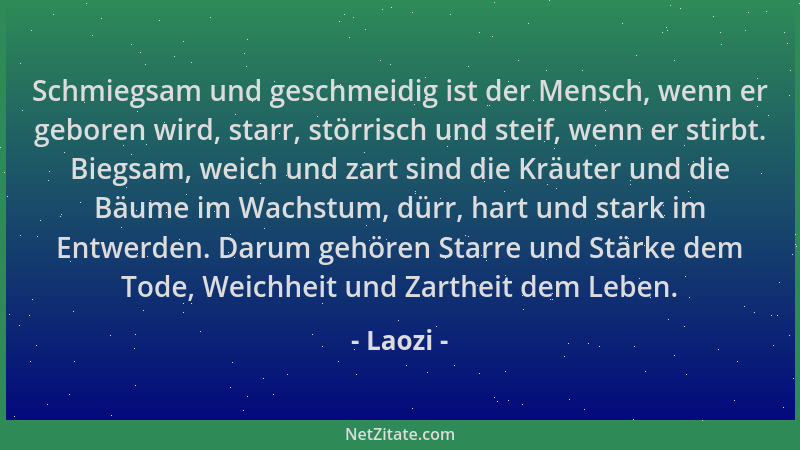 Laozi - Schmiegsam und geschmeidig ist der Mensch, wenn er geboren wird, starr, störrisch und steif, wenn er stirbt. Biegsa...
