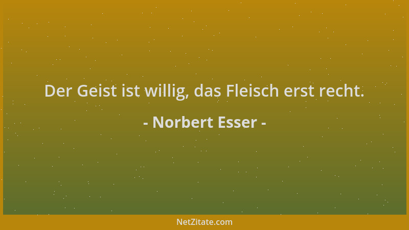 Norbert Esser - Der Geist ist willig, das Fleisch erst recht....