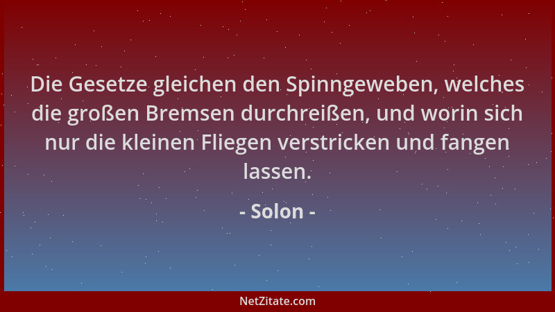 Solon - Die Gesetze gleichen den Spinngeweben, welches die großen Bremsen durchreißen, und worin sich nur die kleinen Flieg...