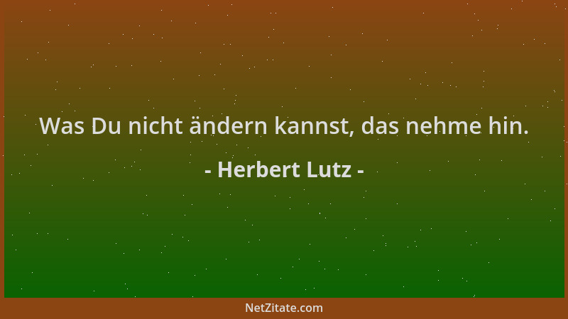 Herbert Lutz - Was Du nicht ändern kannst, das nehme hin....