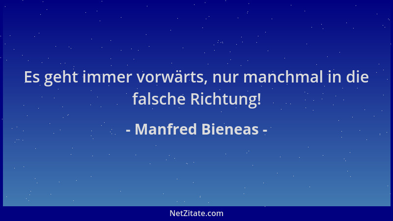 Manfred Bieneas - Es geht immer vorwärts, nur manchmal in die falsche Richtung!...