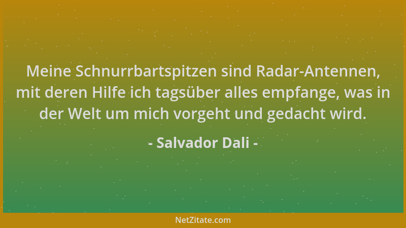 Salvador Dali - Meine Schnurrbartspitzen sind Radar-Antennen, mit deren Hilfe ich tagsüber alles empfange, was in der Welt...