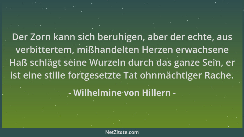 Wilhelmine von Hillern - Der Zorn kann sich beruhigen, aber der echte, aus verbittertem, mißhandelten Herzen erwachsene Haß...