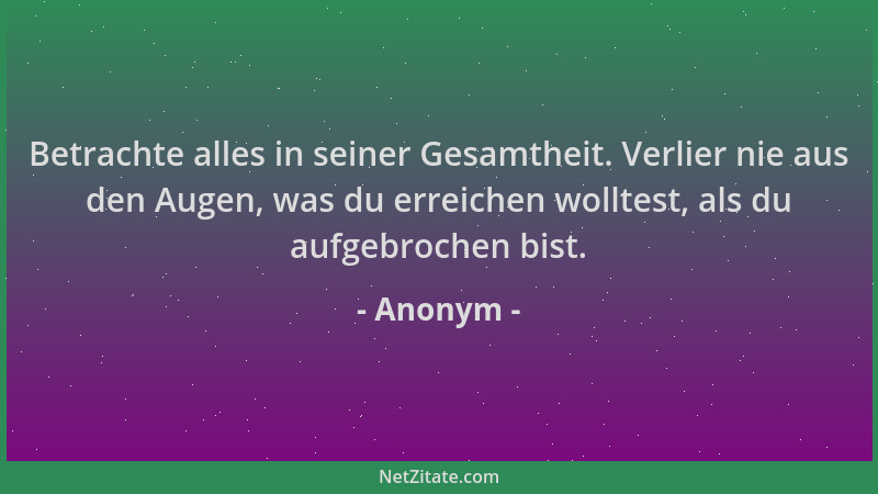 Anonym - Betrachte alles in seiner Gesamtheit. Verlier nie aus den Augen, was du erreichen wolltest, als du aufgebrochen bi...