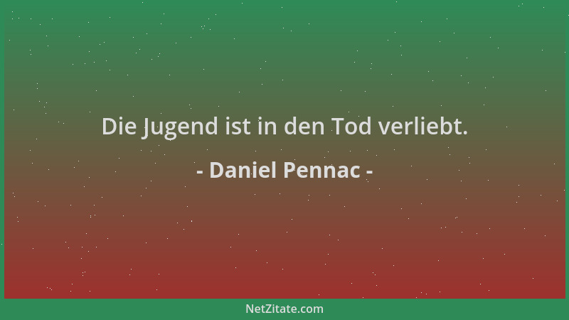 Daniel Pennac - Die Jugend ist in den Tod verliebt....