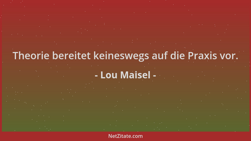 Lou Maisel - Theorie bereitet keineswegs auf die Praxis vor....