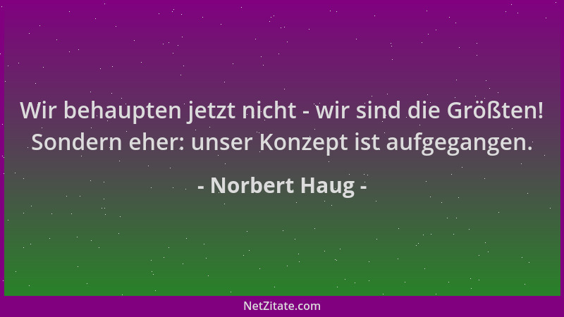 Norbert Haug - Wir behaupten jetzt nicht - wir sind die Größten! Sondern eher: unser Konzept ist aufgegangen....