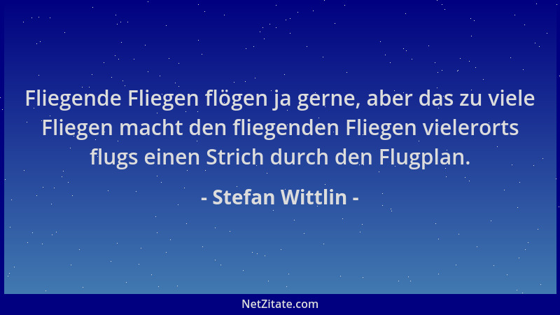 Stefan Wittlin - Fliegende Fliegen flögen ja gerne, aber das zu viele Fliegen macht den fliegenden Fliegen vielerorts flugs...
