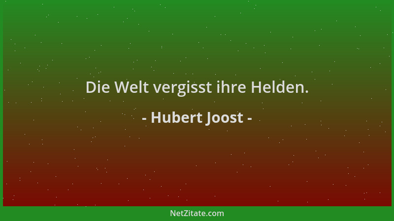 Hubert Joost - Die Welt vergisst ihre Helden....