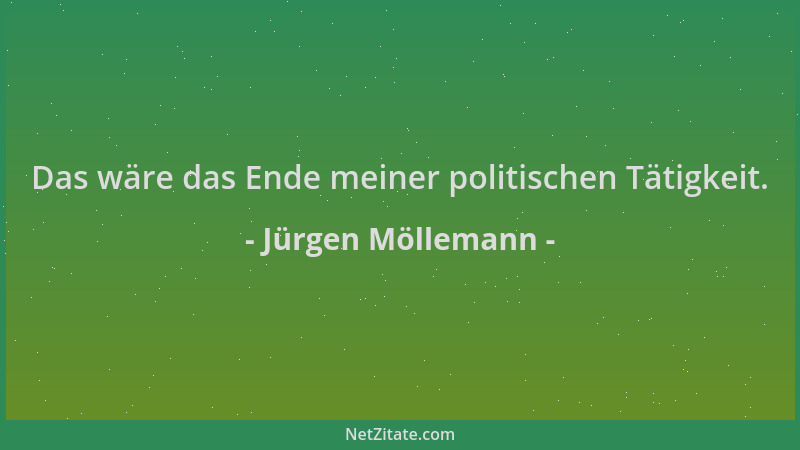 Jürgen Möllemann - Das wäre das Ende meiner politischen Tätigkeit....