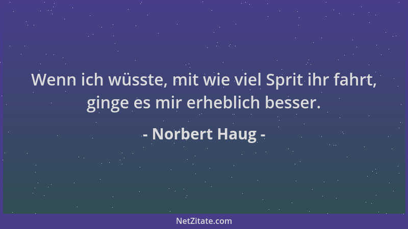 Norbert Haug - Wenn ich wüsste, mit wie viel Sprit ihr fahrt, ginge es mir erheblich besser....