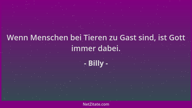 Billy - Wenn Menschen bei Tieren zu Gast sind, ist Gott immer dabei....