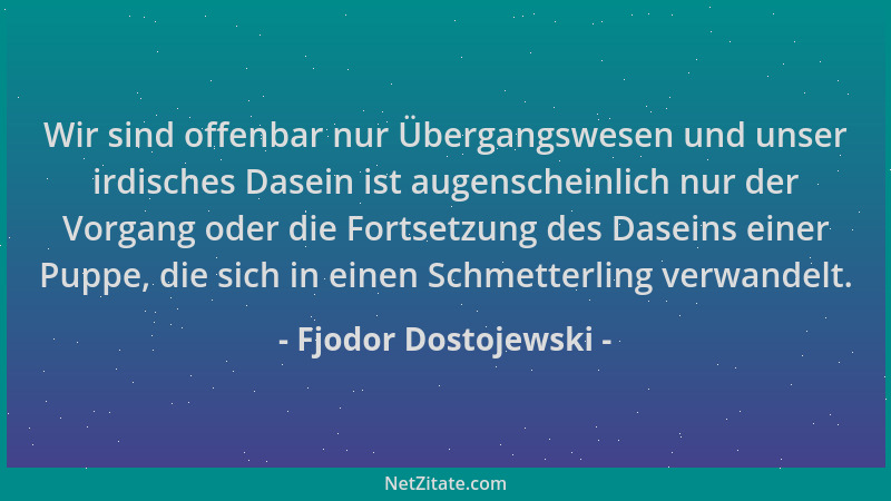 Fjodor Dostojewski - Wir sind offenbar nur Übergangswesen und unser irdisches Dasein ist augenscheinlich nur der Vorgang od...