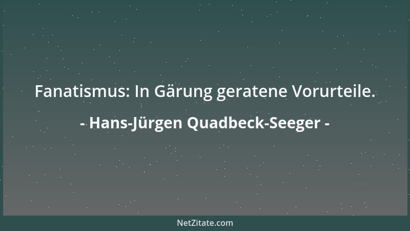Hans-Jürgen Quadbeck-Seeger - Fanatismus: In Gärung geratene Vorurteile....