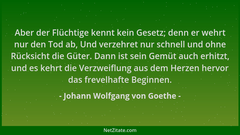 Johann Wolfgang von Goethe - Aber der Flüchtige kennt kein Gesetz; denn er wehrt nur den Tod ab, Und verzehret nur schnell...
