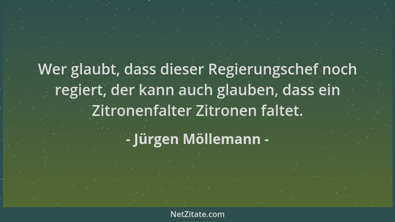 Jürgen Möllemann - Wer glaubt, dass dieser Regierungschef noch regiert, der kann auch glauben, dass ein Zitronenfalter Zitr...