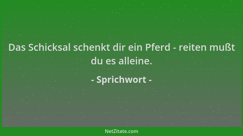 Sprichwort - Das Schicksal schenkt dir ein Pferd - reiten mußt du es alleine....