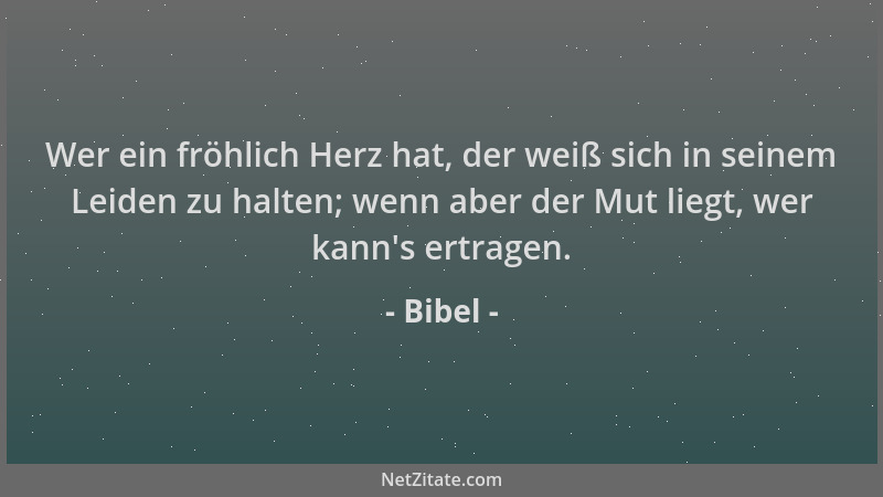 Bibel - Wer ein fröhlich Herz hat, der weiß sich in seinem Leiden zu halten; wenn aber der Mut liegt, wer kann 's ertragen....