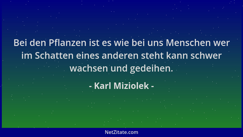 Karl Miziolek - Bei den Pflanzen ist es wie bei uns Menschen wer im Schatten eines anderen steht kann schwer wachsen und ge...