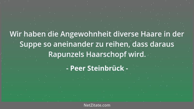 Peer Steinbrück - Wir haben die Angewohnheit diverse Haare in der Suppe so aneinander zu reihen, dass daraus Rapunzels Haar...
